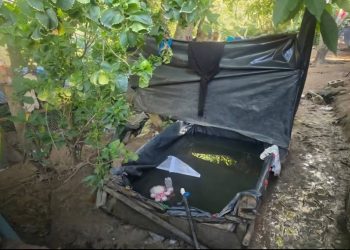 Una menor de 18 meses