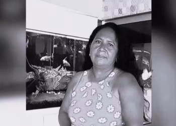 Sonia Ferreira de Castro